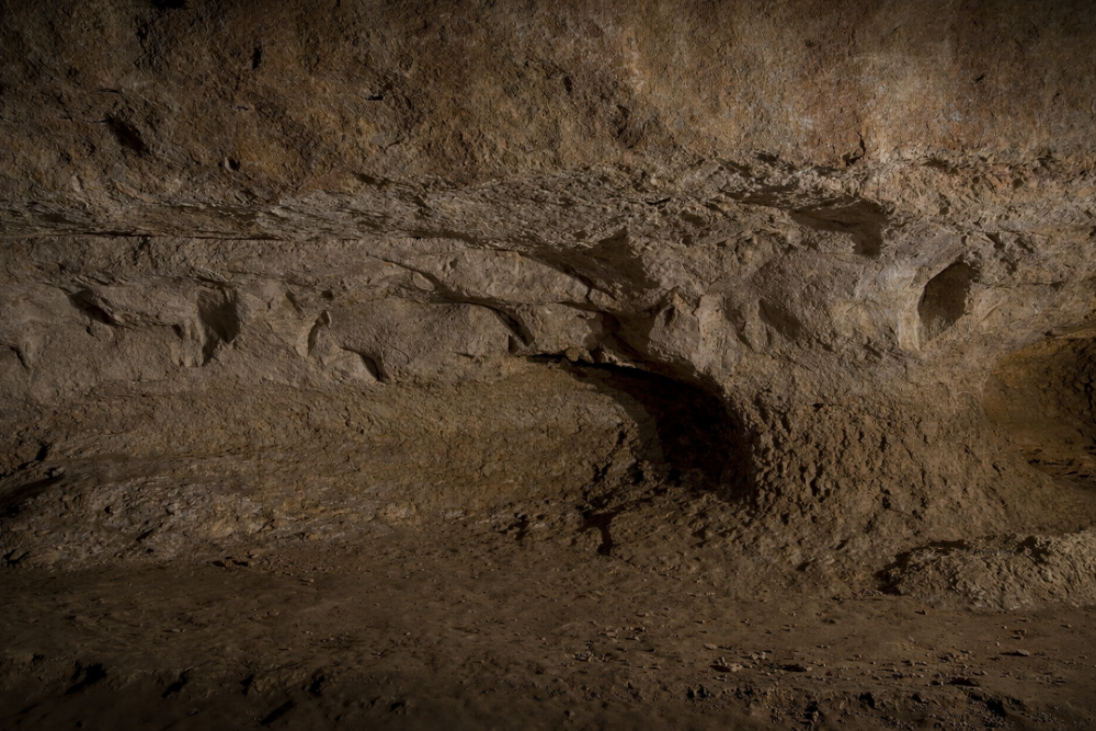 Abri du Cap Blanc - Dordogne