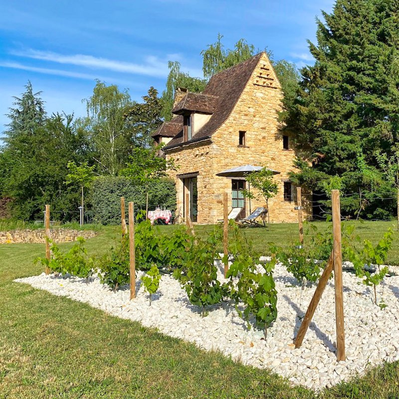 les-granges-hautes-gite-cote-prairie-vigne location--gite-maison-d-hotes-les-granges-hautes-dordogne