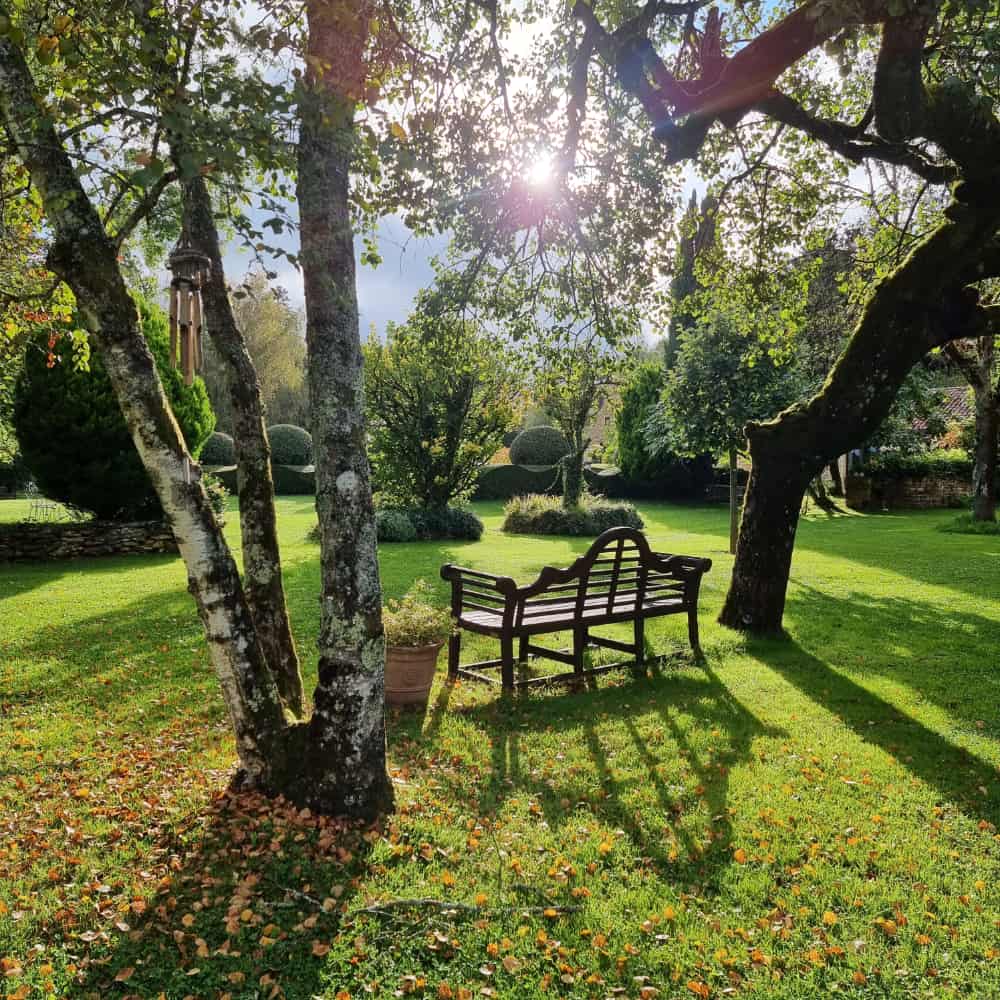 Les Granges Hautes - Parc - Détente - Lecture guest-house-swimming-pool-les-granges-hautes-dordogne